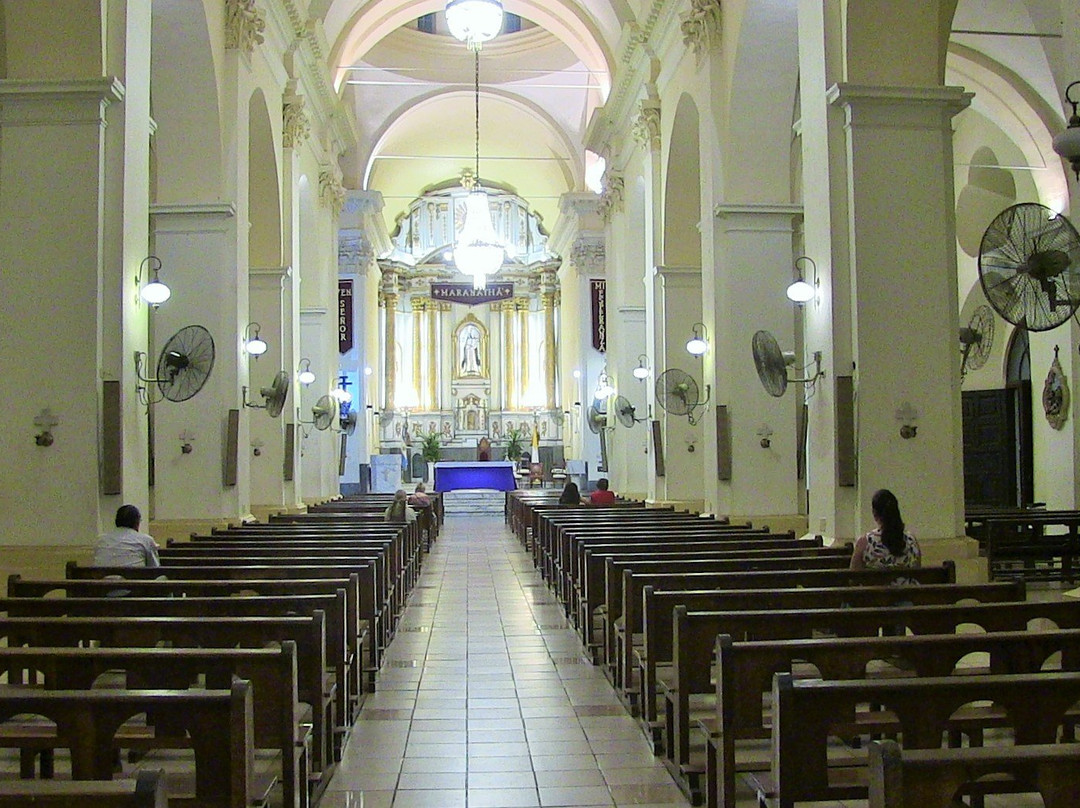 Catedral de Corrientes景点图片