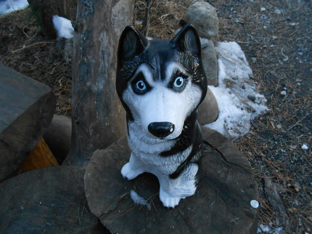 Alaskan Malamute-Baykalsk必去景点