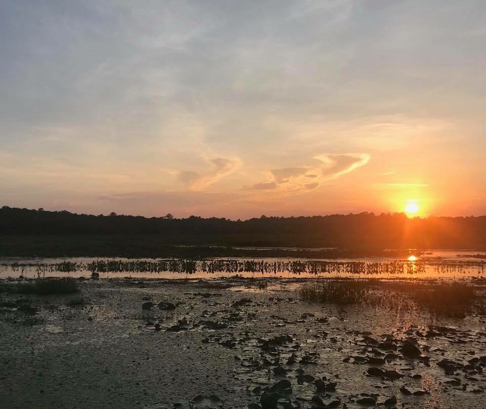 5 Rivers Adventures景点图片