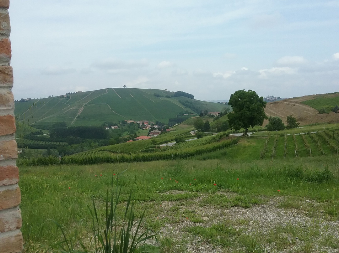 La Terrazza del Barbaresco主图