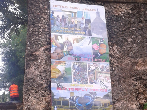 Mombasa Butterfly House-蒙巴萨必去景点