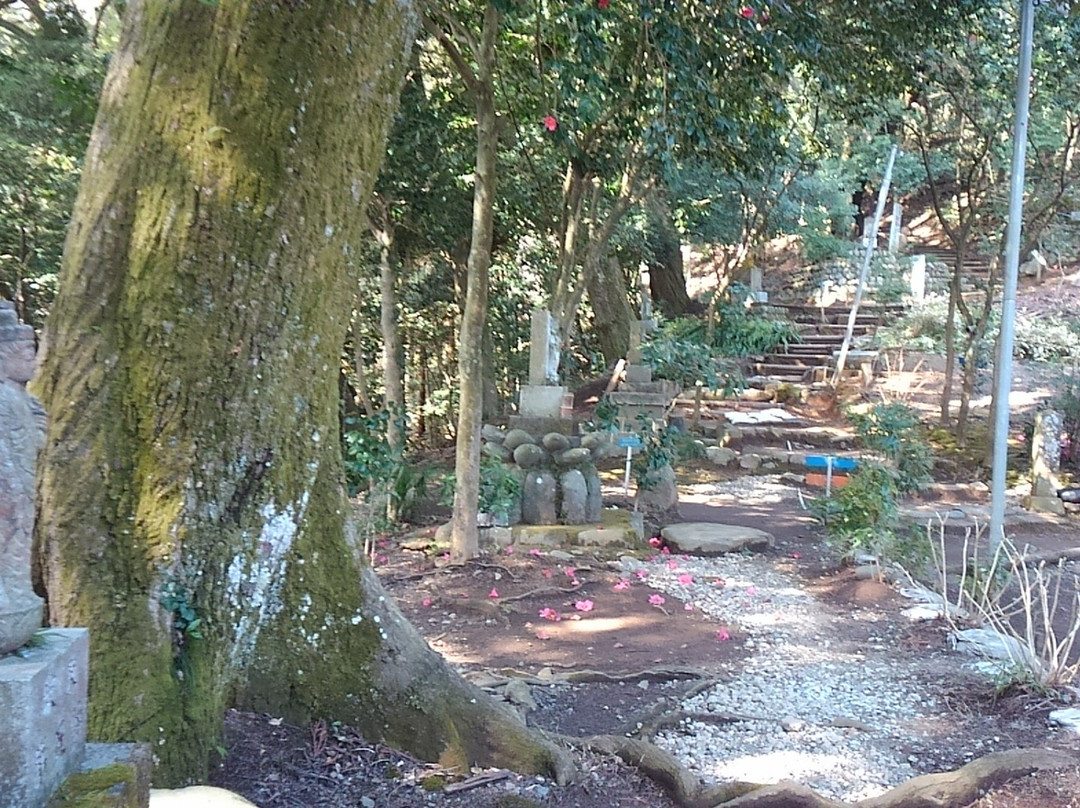 Chokoku-ji Temple景点图片