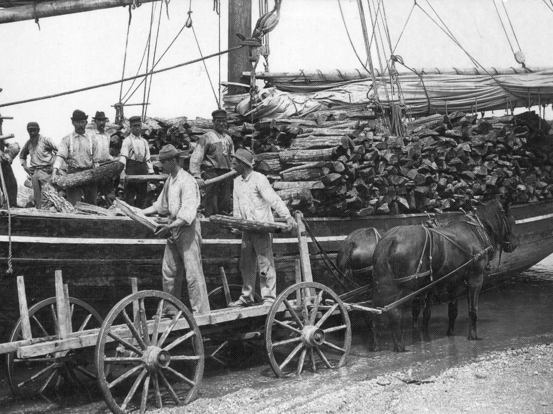 Cordwood Landing County Park-Miller Place必去景点