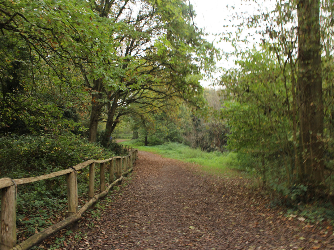 Scadbury Park景点图片