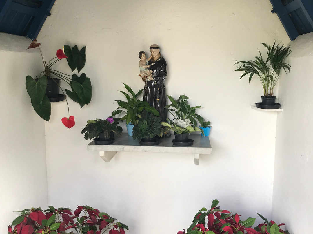 Milicia da Imaculada-圣贝尔纳多-杜坎普必去景点