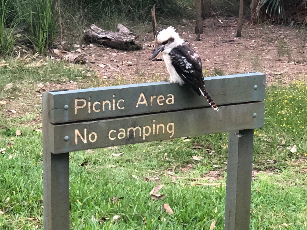 Mungo Brush Campground