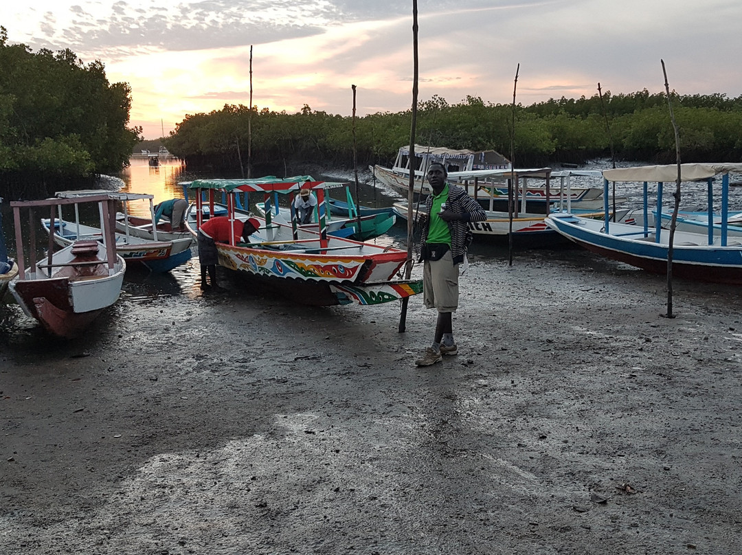 Gambian Bird Guide Ansuman Drammeh -  Best Boy Tours景点图片