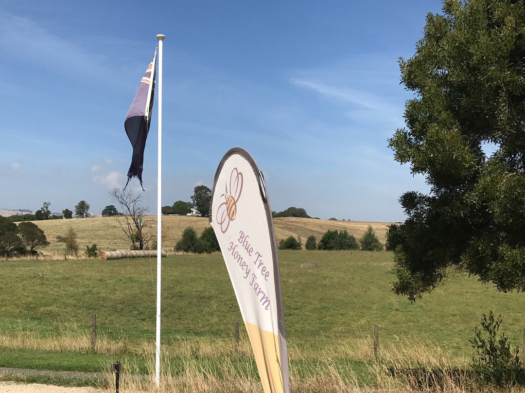 Blue Tree Honey Farm-Dumbalk必去景点