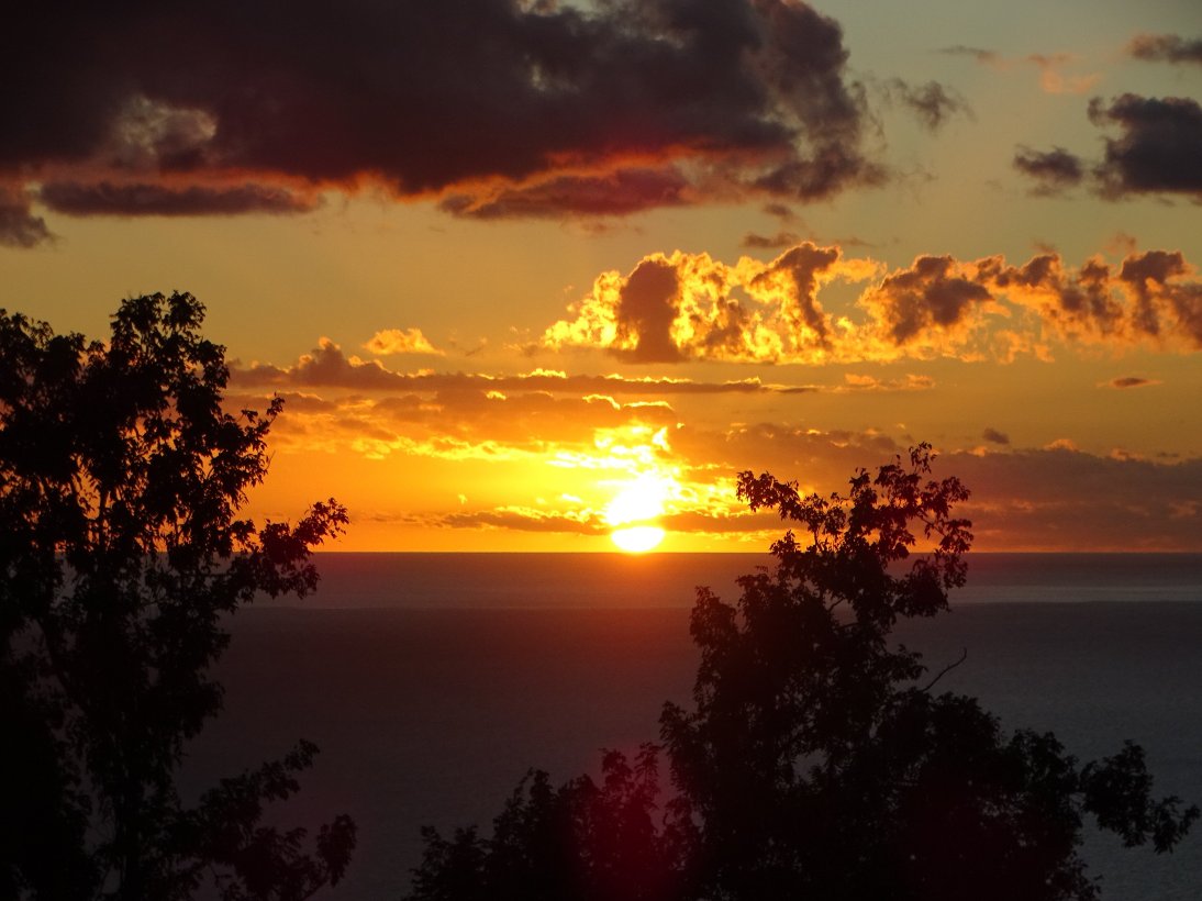 Villa Rose Caraibes-泳池