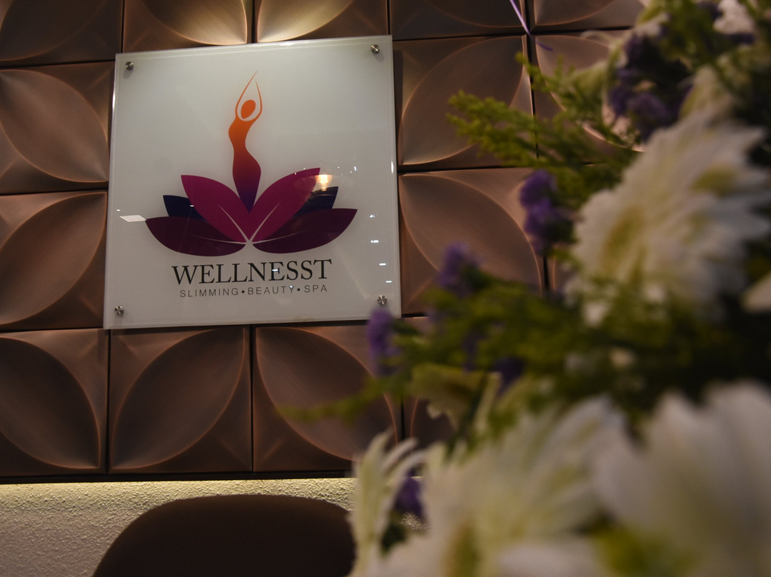 Wellnesst景点图片