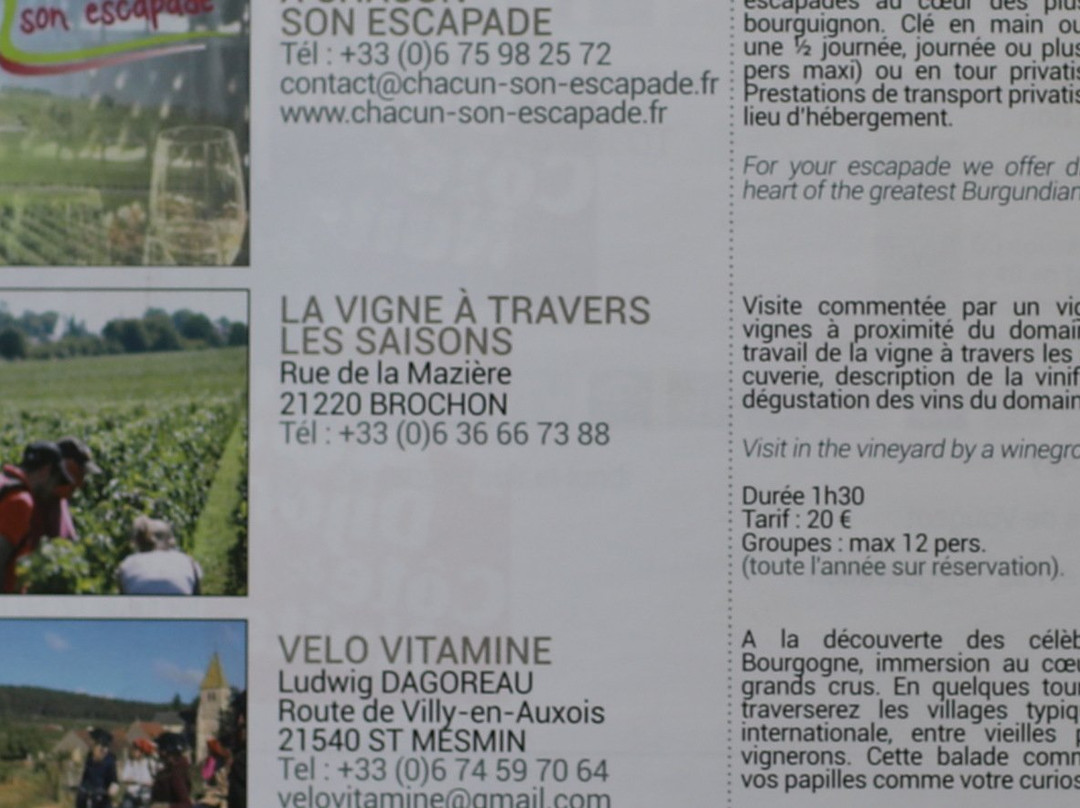 Domaine LE CLOS DES MAZIÈRES景点图片