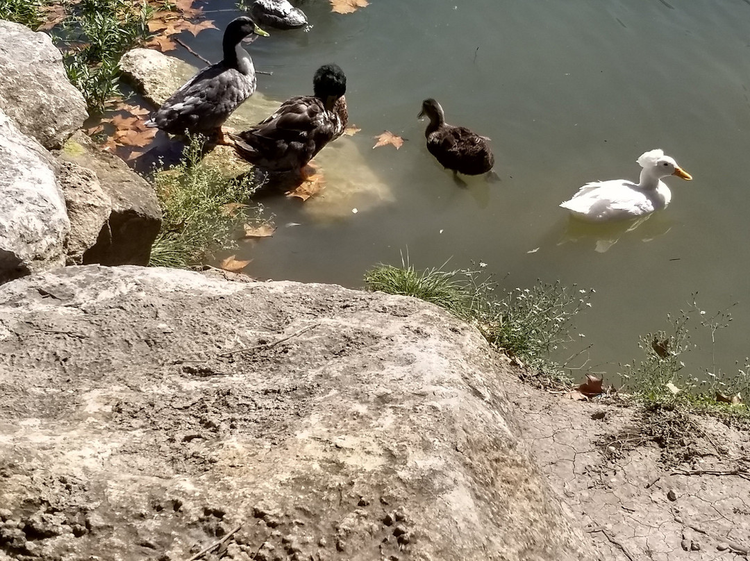 River Road Park-Boerne必去景点