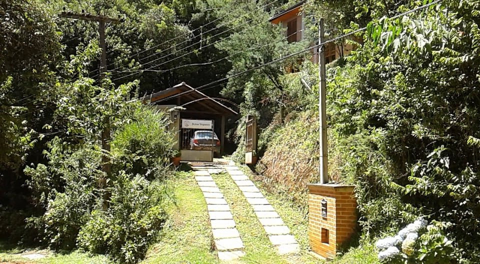 O Melhor Bolo de Chocolate das Galaxias