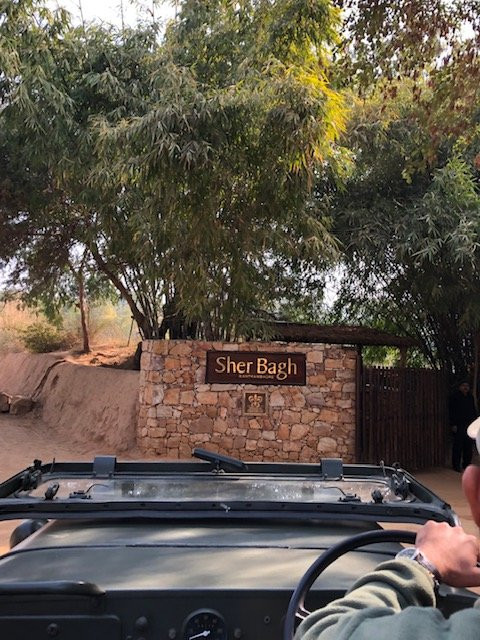 Sujan Sher Bagh主图