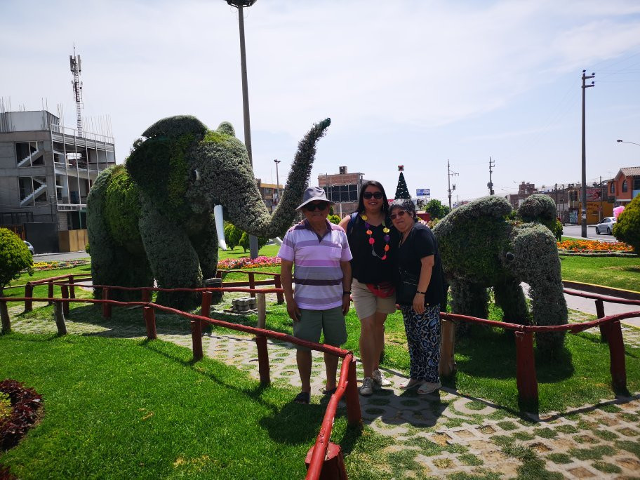 Bosque Municipal De Tacna-塔克纳必去景点