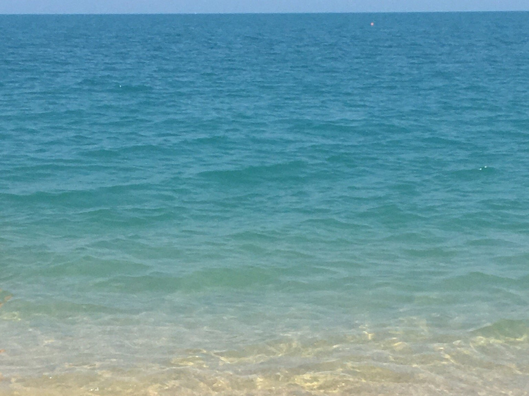 Albergo Cantarini主图