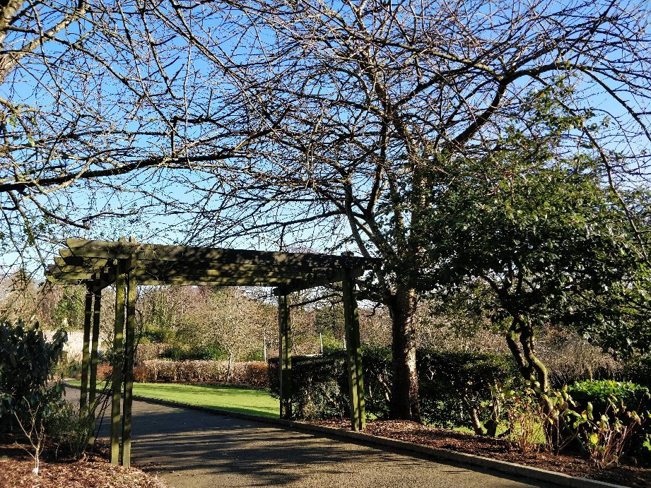 Carnfunnock Country Park景点图片