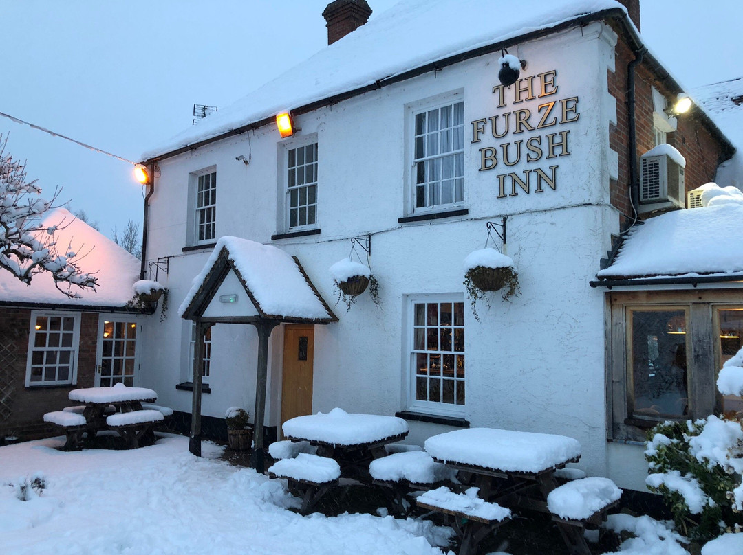 The Furze Bush Inn主图