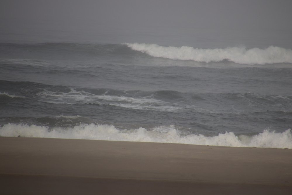 Governor Patterson Memorial State Recreation Site-Waldport必去景点