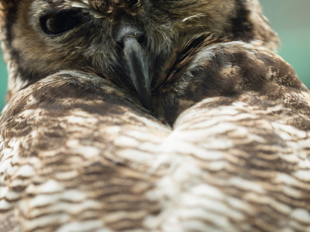 Bioparque La Reserva-Cota必去景点