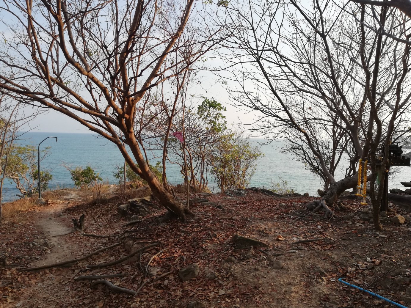 Noina's Mystic Mountain-酒店景观