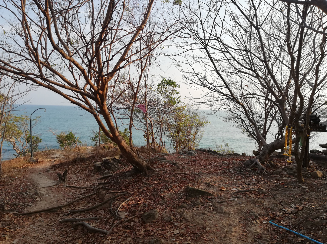 Noina's Mystic Mountain主图