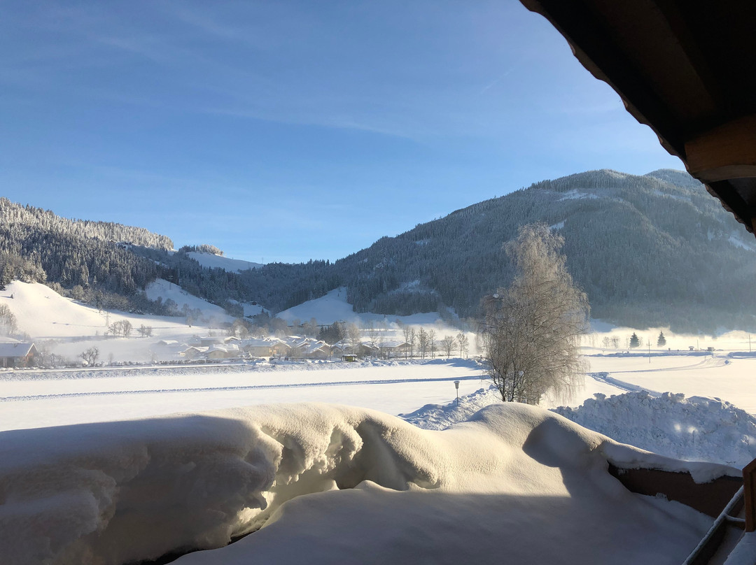 Wellness & Aparthotel Taxerhof主图