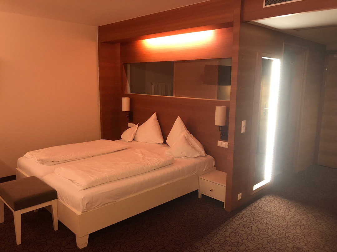 Alpenrose Kufstein主图