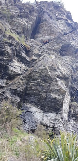 Matakauri Park-皇后镇必去景点