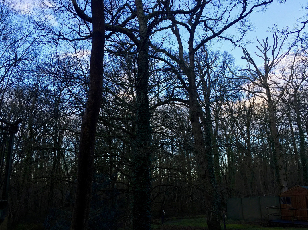 Marwell Hotel Winchester South主图