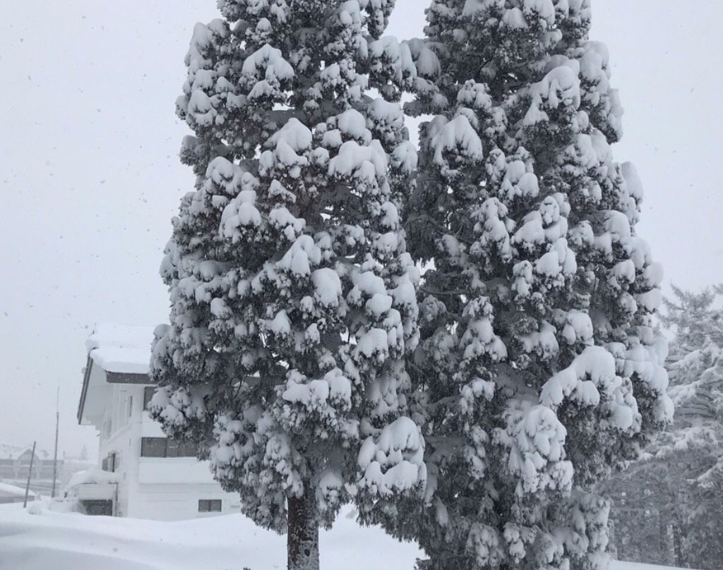 Myoko Kogen景点图片