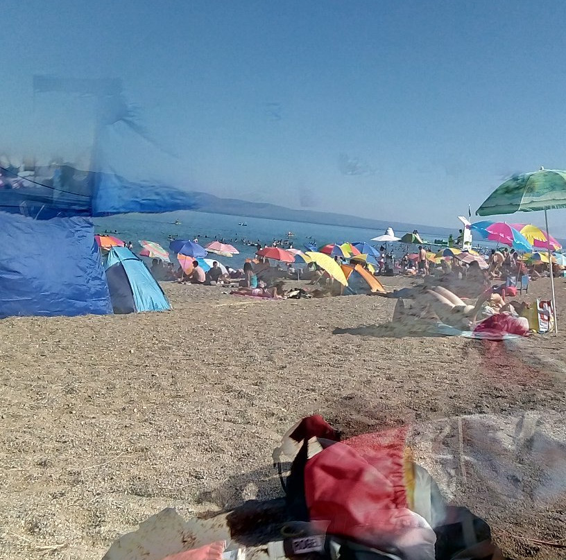 Bahia Coique-Futrono必去景点