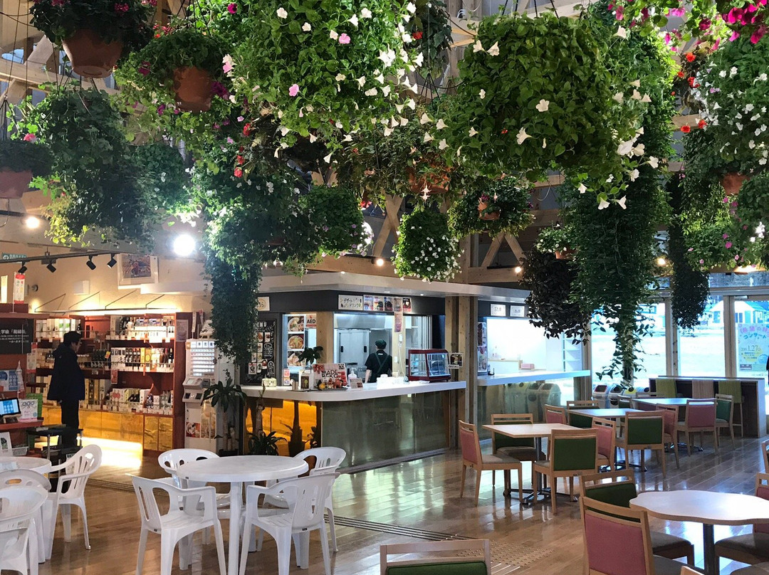 Iitate Village Michi-no-Eki Madeikan-饭馆村必去景点