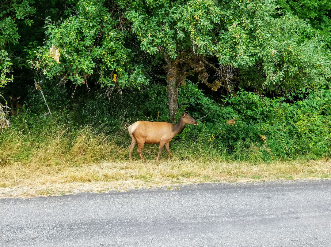 山顶步道旅舍主图