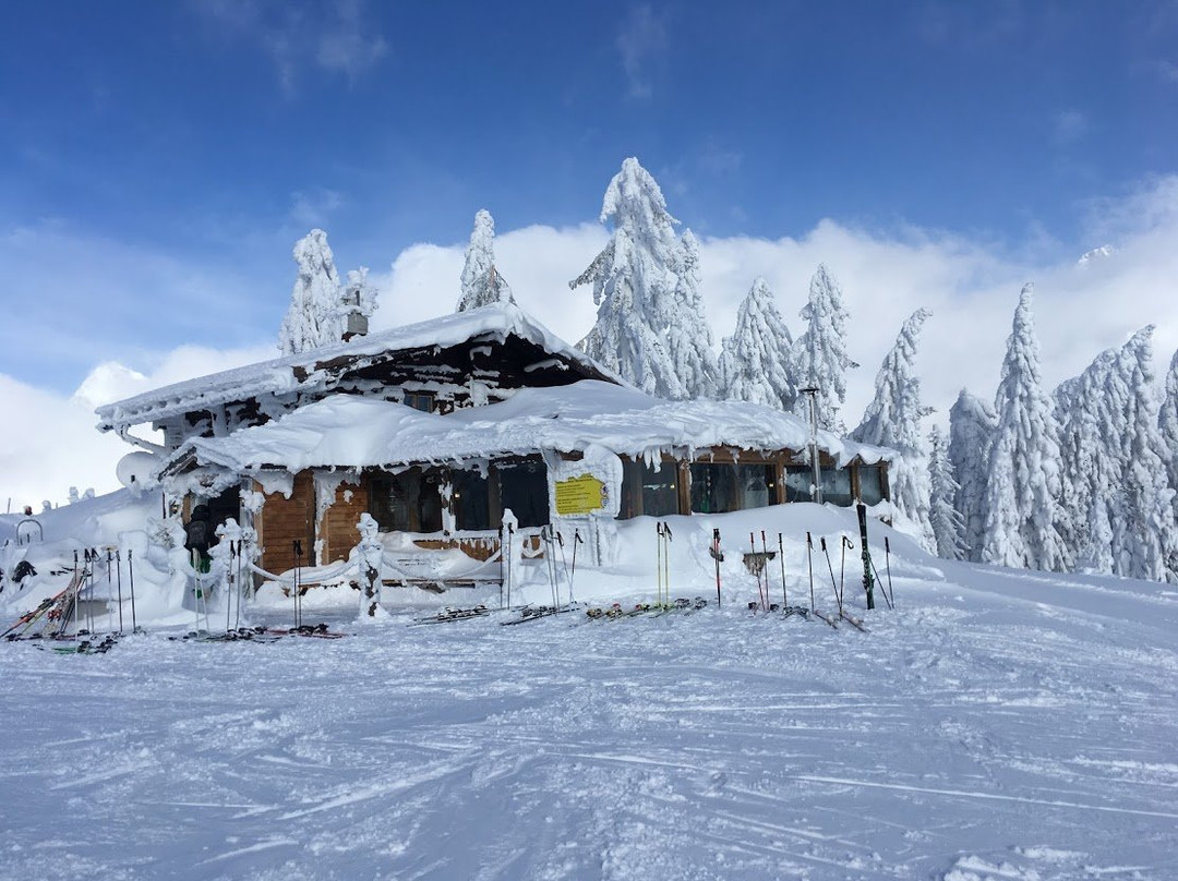 Dienten am Hochkönig餐馆和美食-Gabuhelhutte
