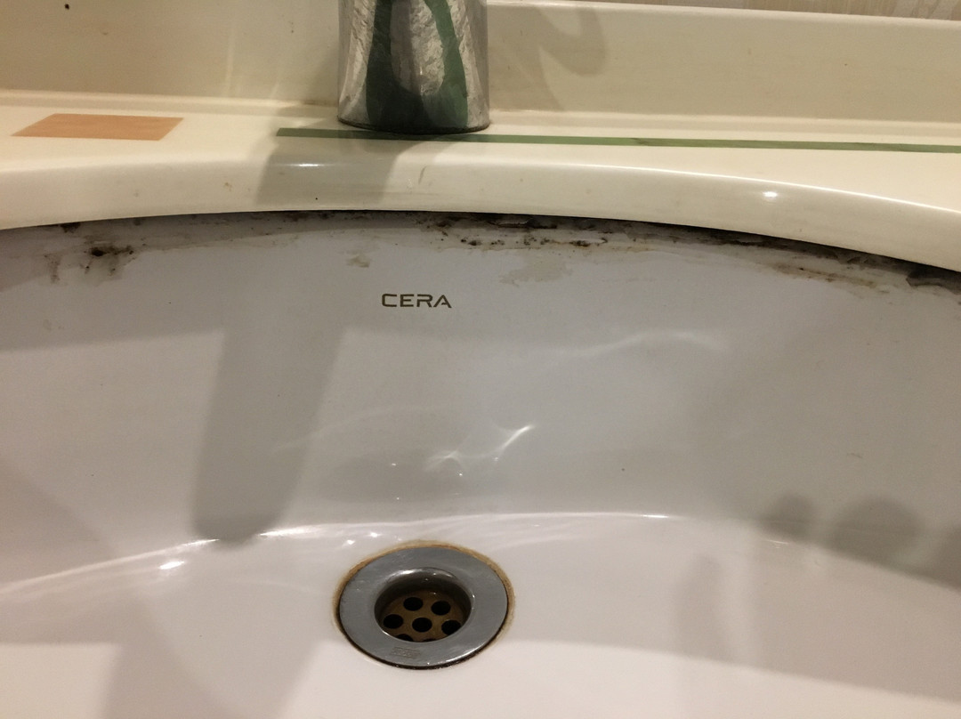 赫尔德瓦尔郁锦香饭店主图