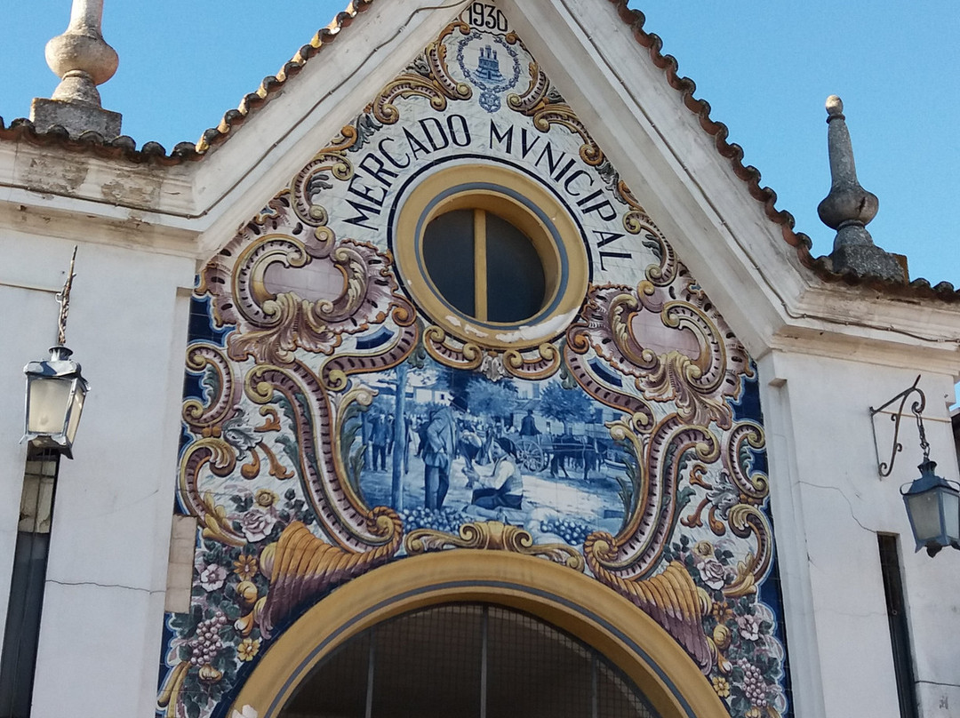 Mercado Municipal de Santarém景点图片