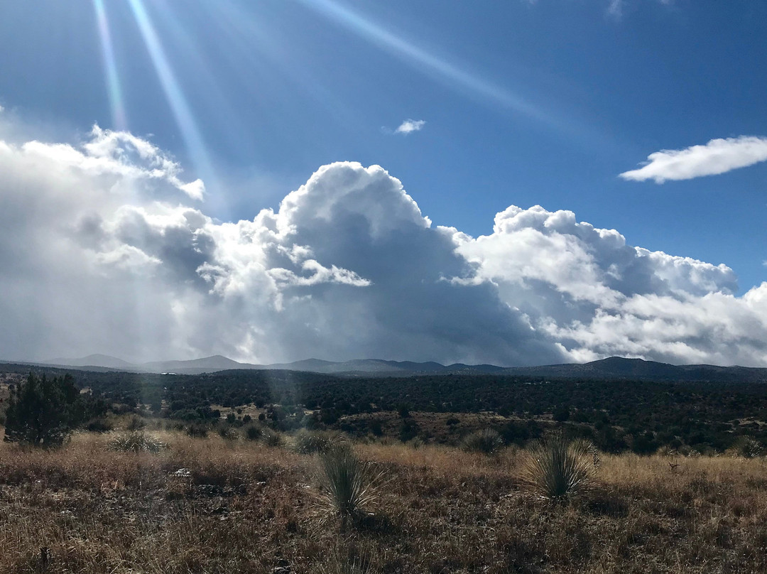 Arizona Horseback Experience景点图片