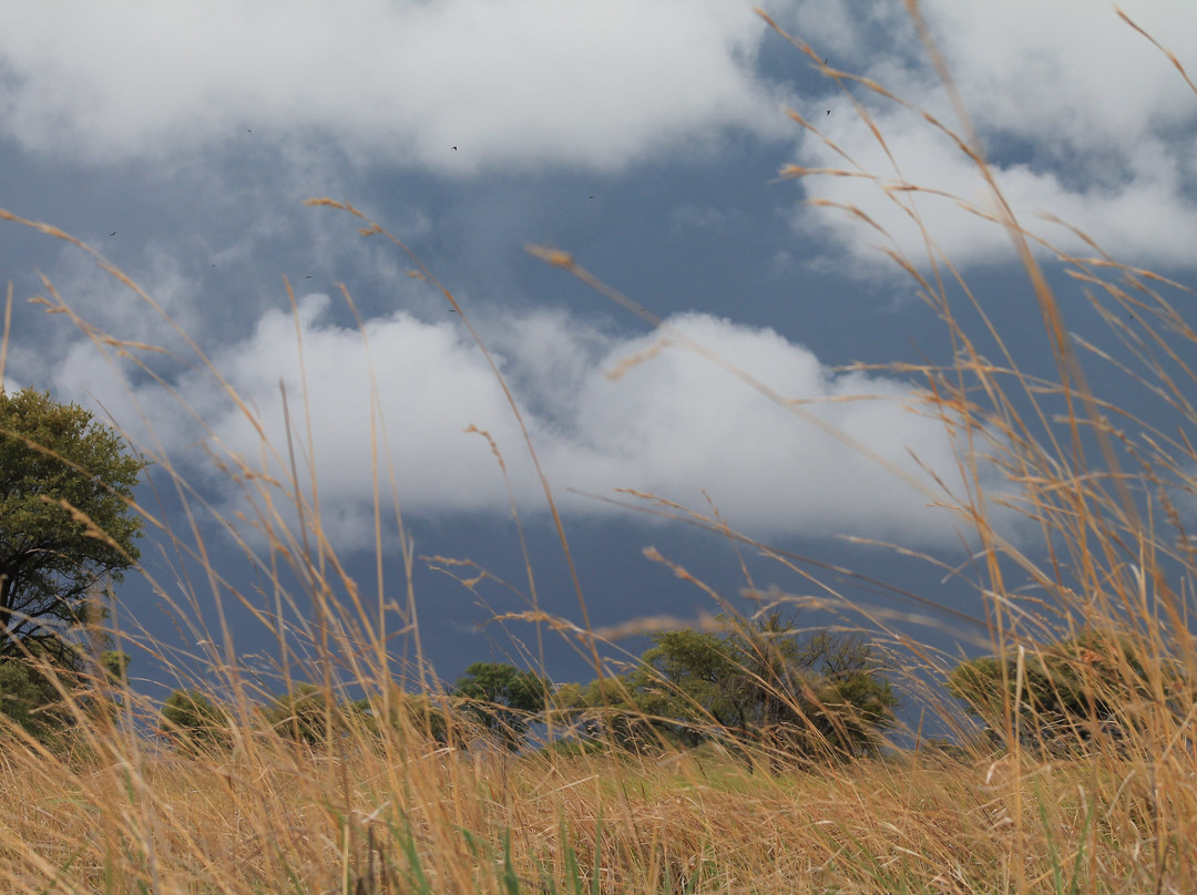 Nkasa Rupara National Park-Nkasa Rupala National Park必去景点