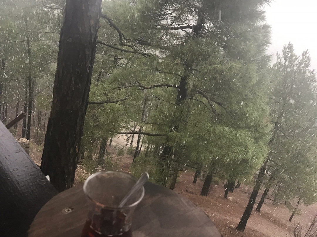 Aladag Kocagoz Otel主图