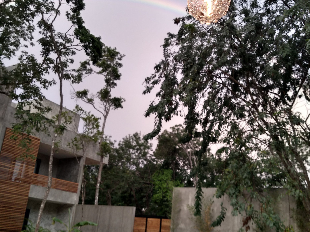 Hotel Panacea Tulum主图