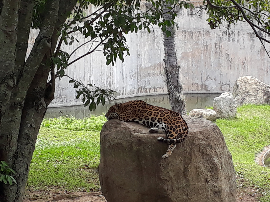 Parque del Este景点图片