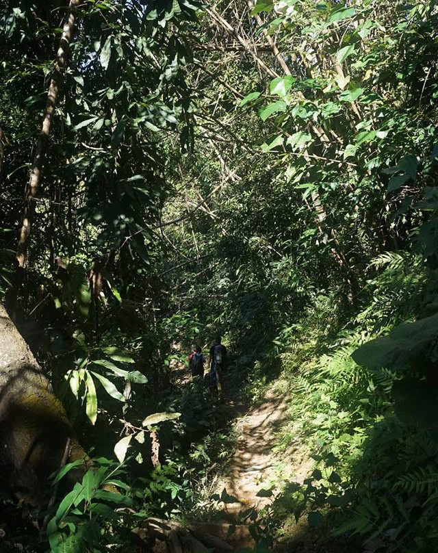 Nam Ha Hill Tribe Eco-Trek景点图片