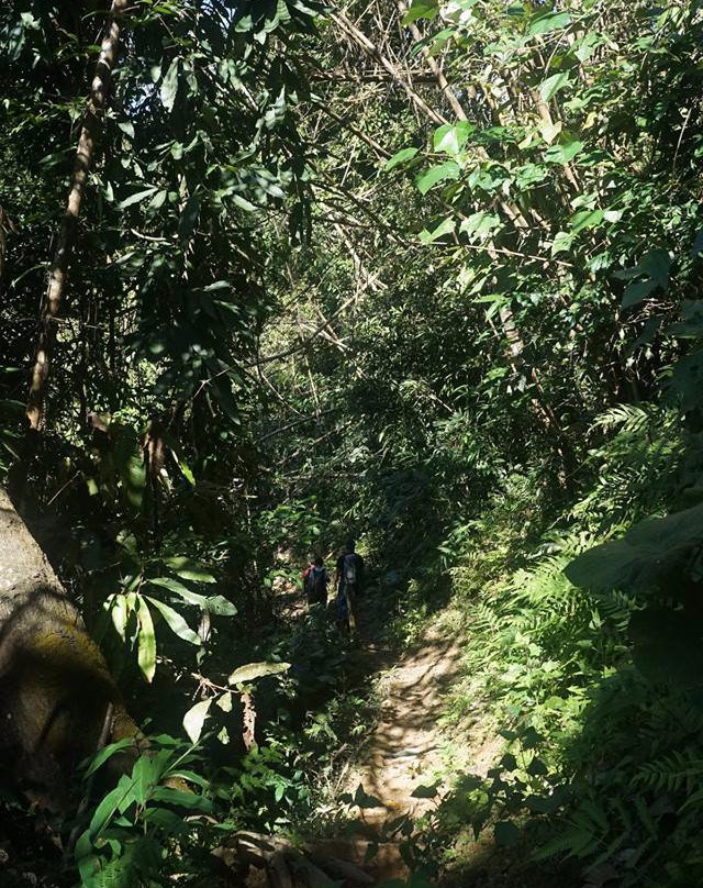 Nam Ha Hill Tribe Eco-Trek-琅南塔必去景点