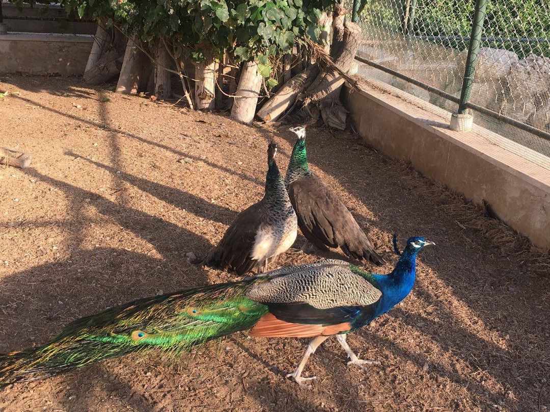 Flamingo Hotel主图