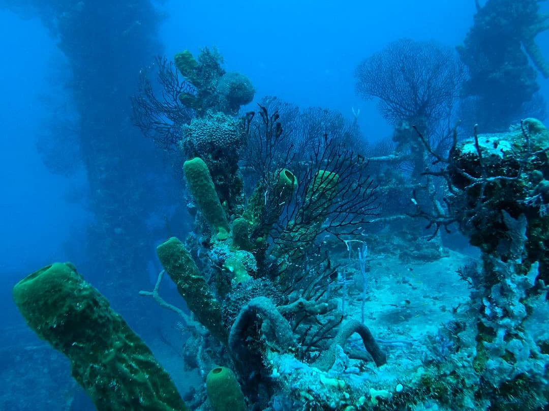 Stavronikita-布里奇顿必去景点