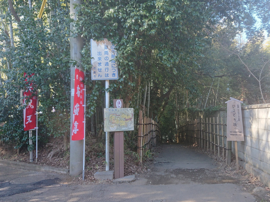 Daishoin Temple-佐仓市必去景点