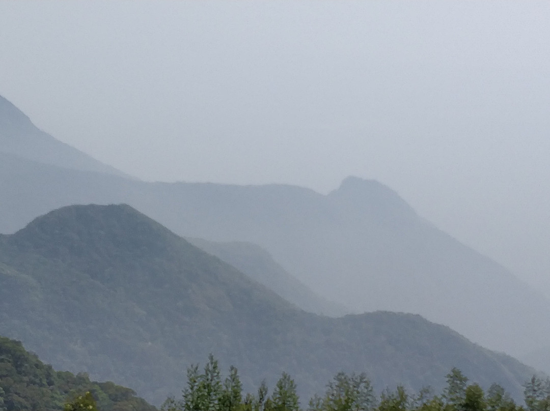 Moir Point景点图片