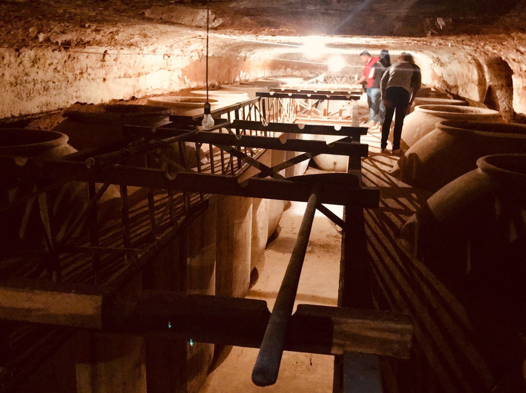 SelfieTour-Tomelloso必去景点