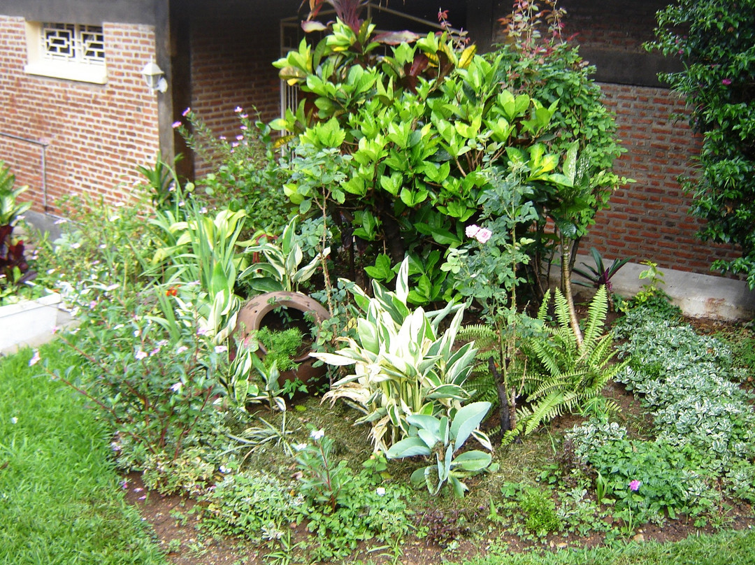 Vaya Apartments Services主图